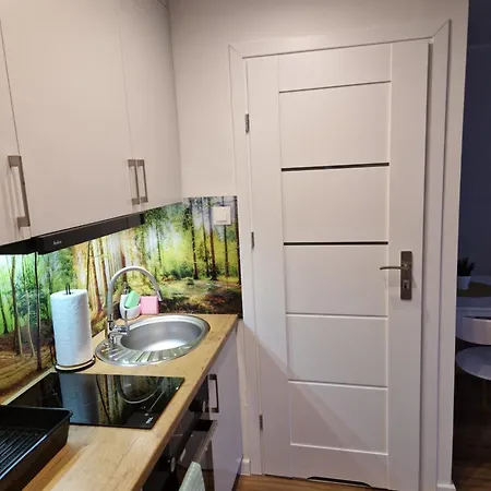 Przy Starym Miescie * Elblag